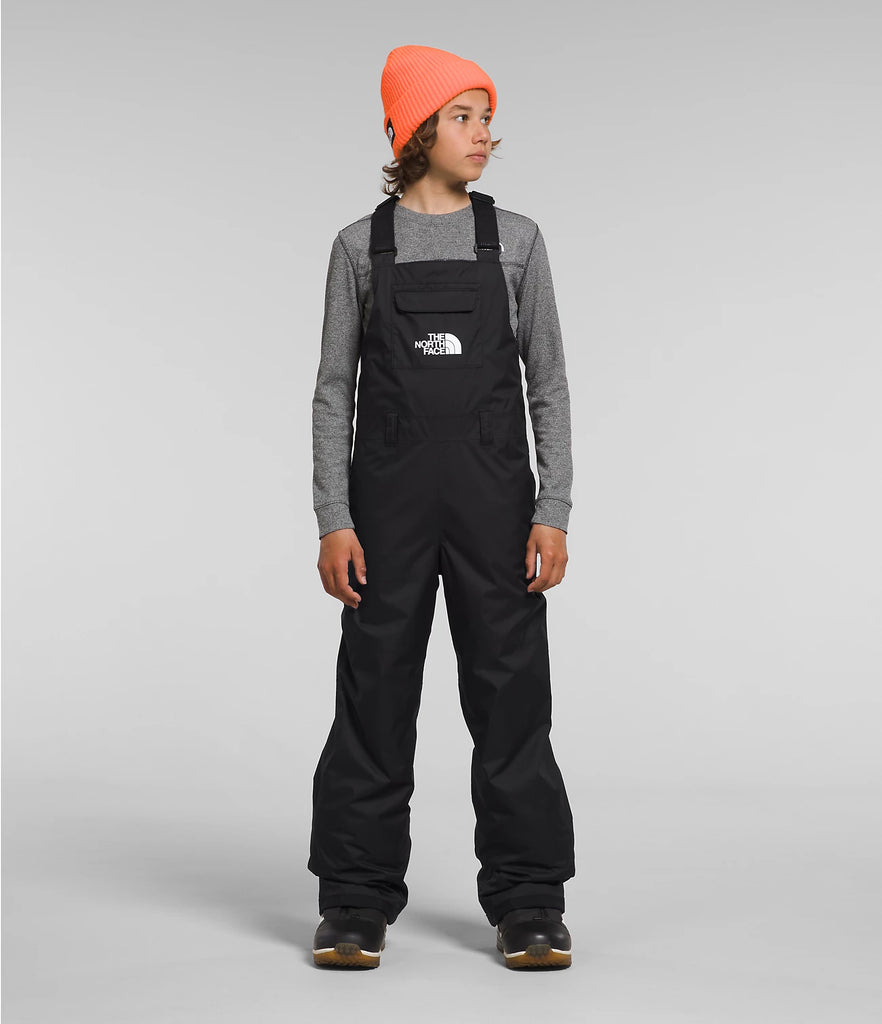 The north face 2025 nuptse bib down overall
